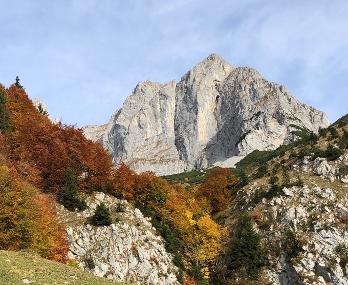 Bild1